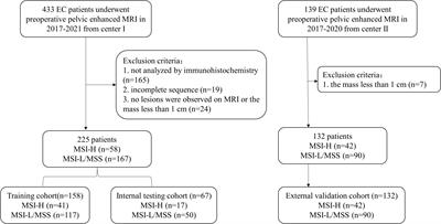 Radiomics analysis of multiparametric MRI for preoperative prediction of microsatellite instability status in endometrial cancer: a dual-center study